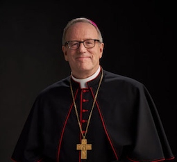 Bishop Robert Barron - Wiki Image