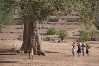 Children walking in Kauda, a village in Nuba Mountains of Sudan. Photo: Paul Jeffrey/Life on earth
