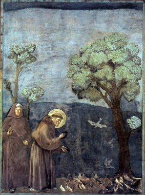 St Francis preaches to the birds - Giotto. Wiki Image