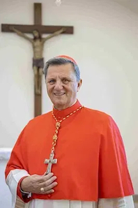 Cardinal Grech - Wki image