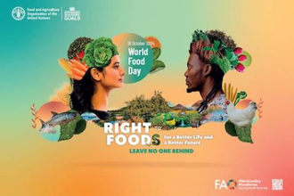 Official UN poster for World Food Day