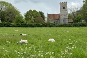 Beautiful Norfolk countryside surrounding St Peter' Church, Mattishallburgh.  Image: ICN/UK