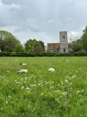 Beautiful Norfolk countryside surrounding St Peter' Church, Mattishallburgh.  Image: ICN/UK