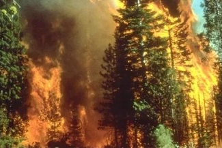 California wildfire 2008 BLM Wiki image