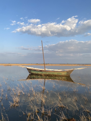 Boat on the Lake