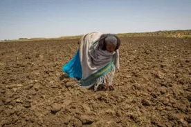 Ethiopian farmer views parched field - CAFOD