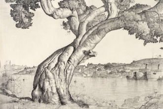 Port Jackson Fig Tree,   by Lloyd Rees  1934,  © Lloyd Rees Estate/Licensed by Viscopy, Collection of The University of Queensland