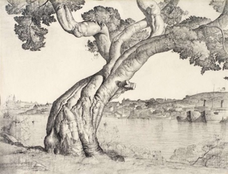 Port Jackson Fig Tree,   by Lloyd Rees  1934,  © Lloyd Rees Estate/Licensed by Viscopy, Collection of The University of Queensland