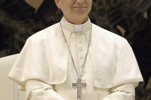Pope Leo XIV WIki Image  - 12 May 2025, Edgar Beltrán, The Pillar