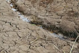 Dried up river bed. Photo by Markus Spiske on Unsplash