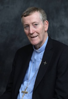 Bishop Denis Nulty of Kildare and Leighlin. Image: CCO