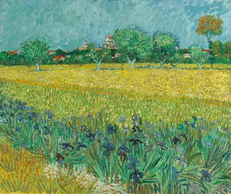Vincent Van Gogh Field with Irises Near Arles 1888. Oil on canvas. Van Gogh Museum, Amsterdam (Vincent Van Gogh Foundation)