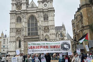 One placard reads: 'Only justice can bring peace to Israel and Palestine'