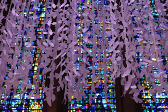 Peace Doves at Liverpool Cathedral
