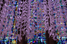 Peace Doves at Liverpool Cathedral