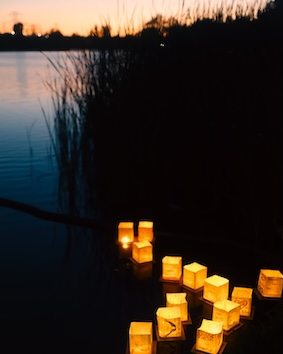 Peace lanterns on anniversary of Nagasaki.  Photo by Bobby on Unsplash