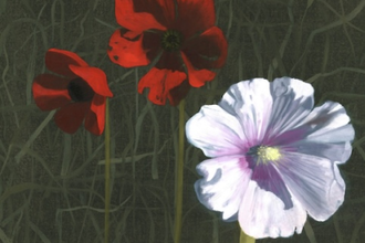 Image: Diasphora Palestine
