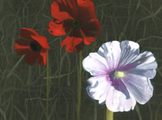 Image: Diasphora Palestine