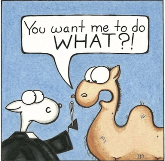 You want me to do What?  Part of the Pastor Shep Series © Pastor Shep by Susan Mattinson