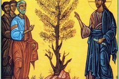 Jesus and the Parable of the Mustard Seed