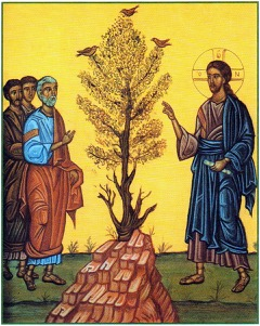 Jesus and the Parable of the Mustard Seed