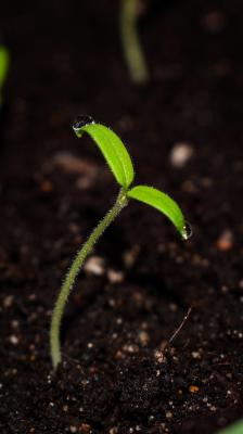 Photo by Artem Makarov on Unsplash