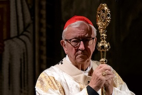Cardinal Vincent at the Eucharistic Festival