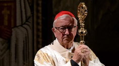 Cardinal Vincent at the Eucharistic Festival