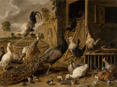 A peacock, peahen, cockerels, hens, ducks, ducklings and chicks in a farmyard, by Adriaen van Utrecht, 1650 © Sotheby's New York, 29.12.20.
