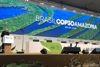 Cardinal adresses COP30 Image: Vatican Media