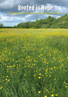 Rooted in Hope: Building biodiversity | ICN