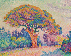 The Pine Tree at Saint Tropez, by Paul Signac © Pushkin Museum, Moscow / Wikimedia Commons