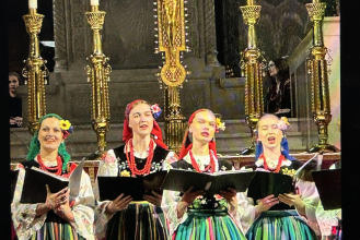 Screenshot image British Poles