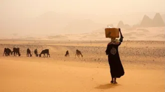 Image Pax Christi USA