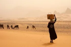 Image Pax Christi USA