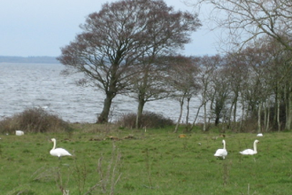Lough Neagh  - Image by Brian Shaw - licence: CC BY-SA 2.0 CC BY-SA 2.0