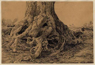 Study of Tree Roots by Johann Christian Reinhart, 1819 © British Museum, London
