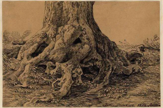 Study of Tree Roots by Johann Christian Reinhart, 1819 © British Museum, London