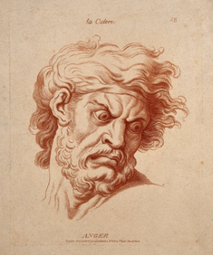 The face of a bearded man expressing Anger (la Colère), Print of a drawing after Charles le Brun, Original drawing circa 1670 © Wellcome Collection, London