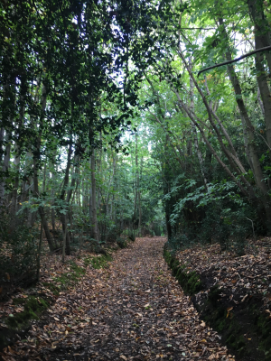 Chartham Hatch on footpath to Canterbury - Image: ICN/JS