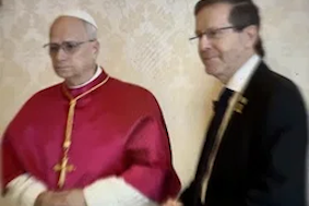 Pope Leo and President Herzog during their meeting on 4 September last year.