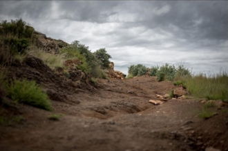 Photo: Albin Hillert/WCC