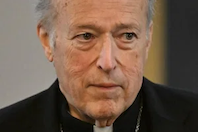 Cardinal Robert McElroy