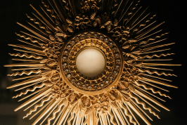 Photo by Jacob Bentzinger on Unsplash