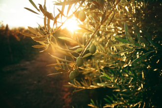 Photo by Flor Saurina on Unsplash