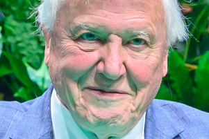 David Attenborough 2019, Wiki image