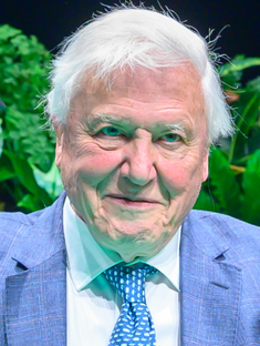 David Attenborough 2019, Wiki image