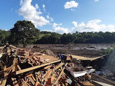 Brumadinho Dam, Brazil  - toxic sludge covered homes, farmland, livestock and people.
