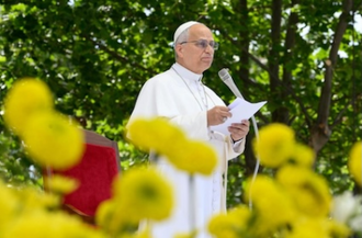 Image: Vatican Media