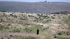 Bedouin tribal land overlooked by illegal settlement